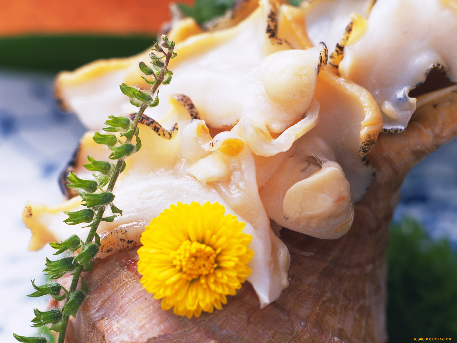 еда, рыба, морепродукты, суши, роллы