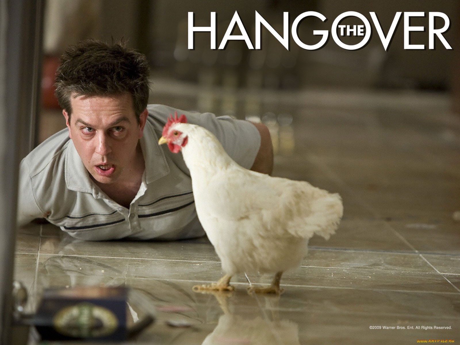the, hangover, кино, фильмы