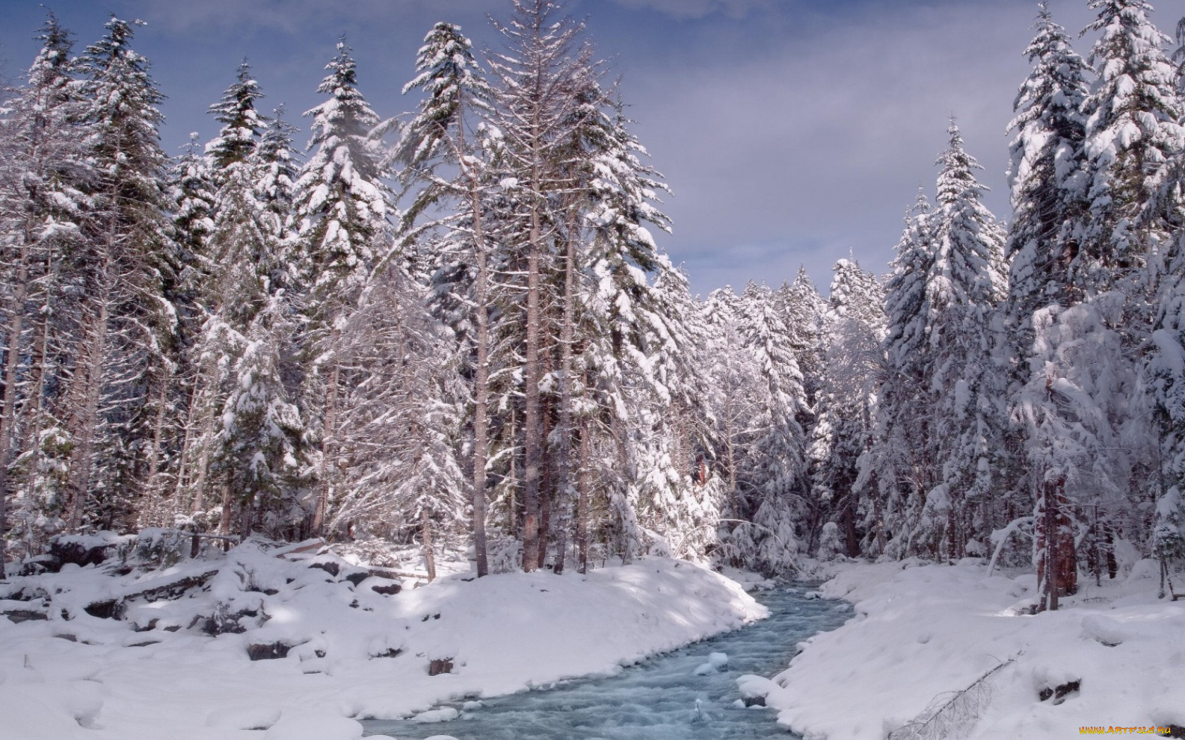 природа, зима