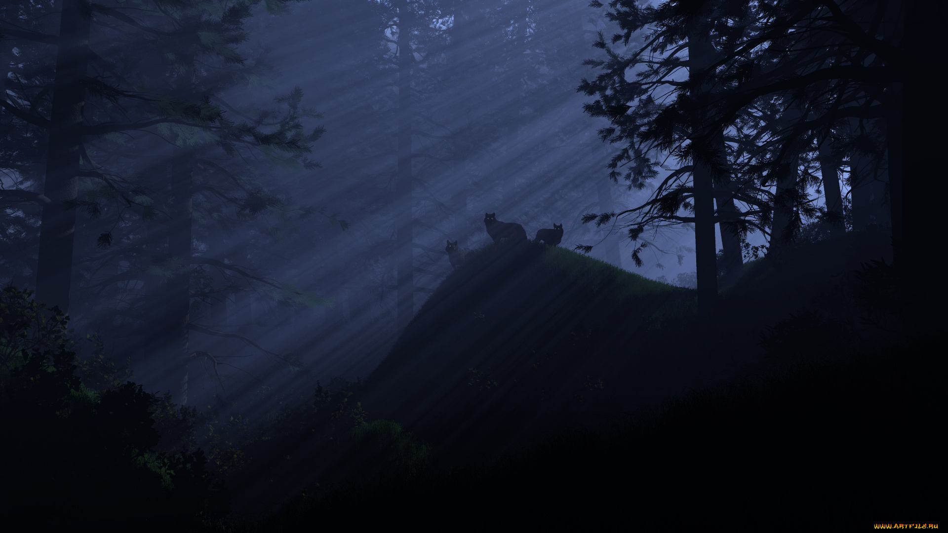 3д, графика, animals, животные