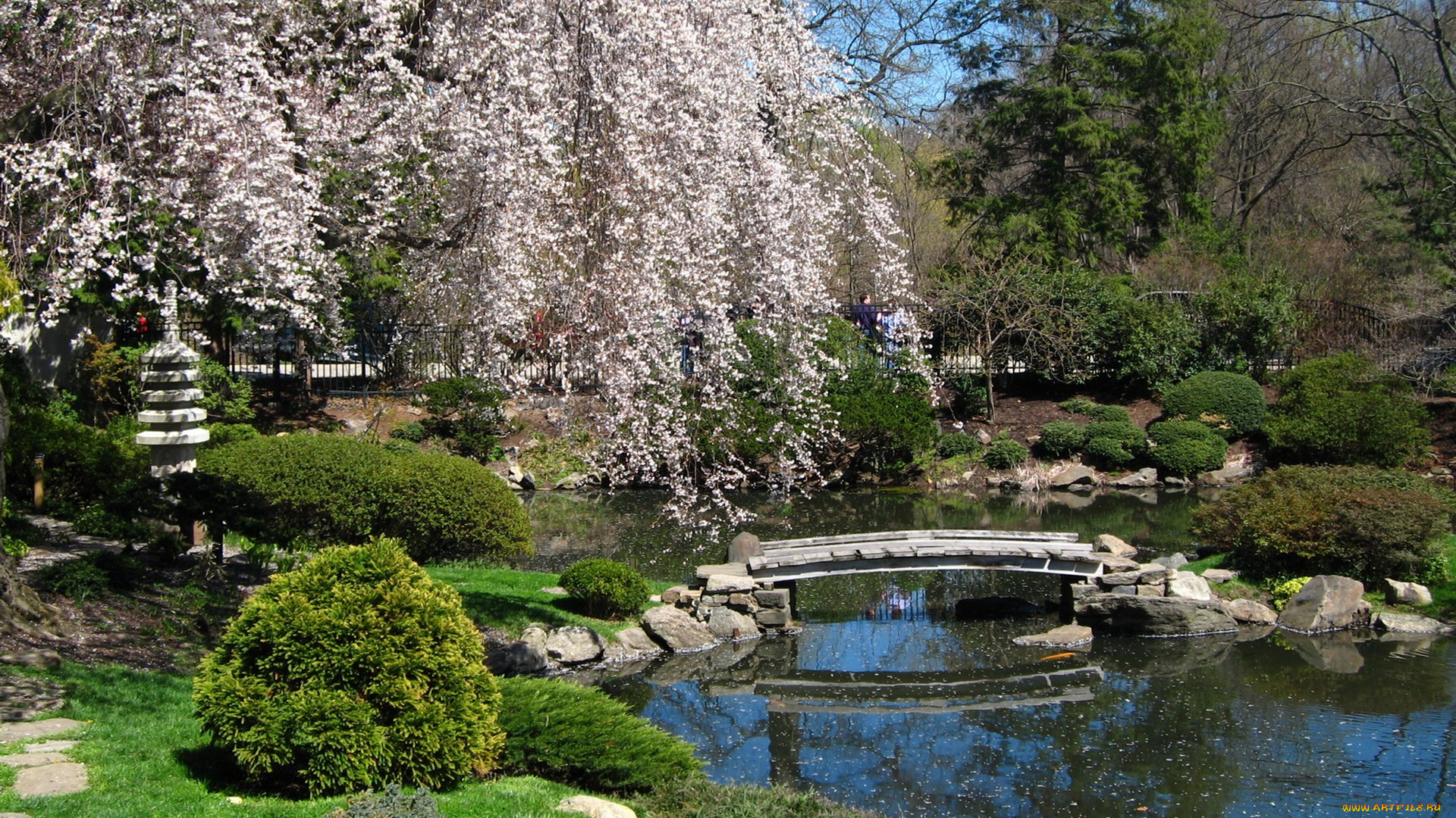 природа, парк