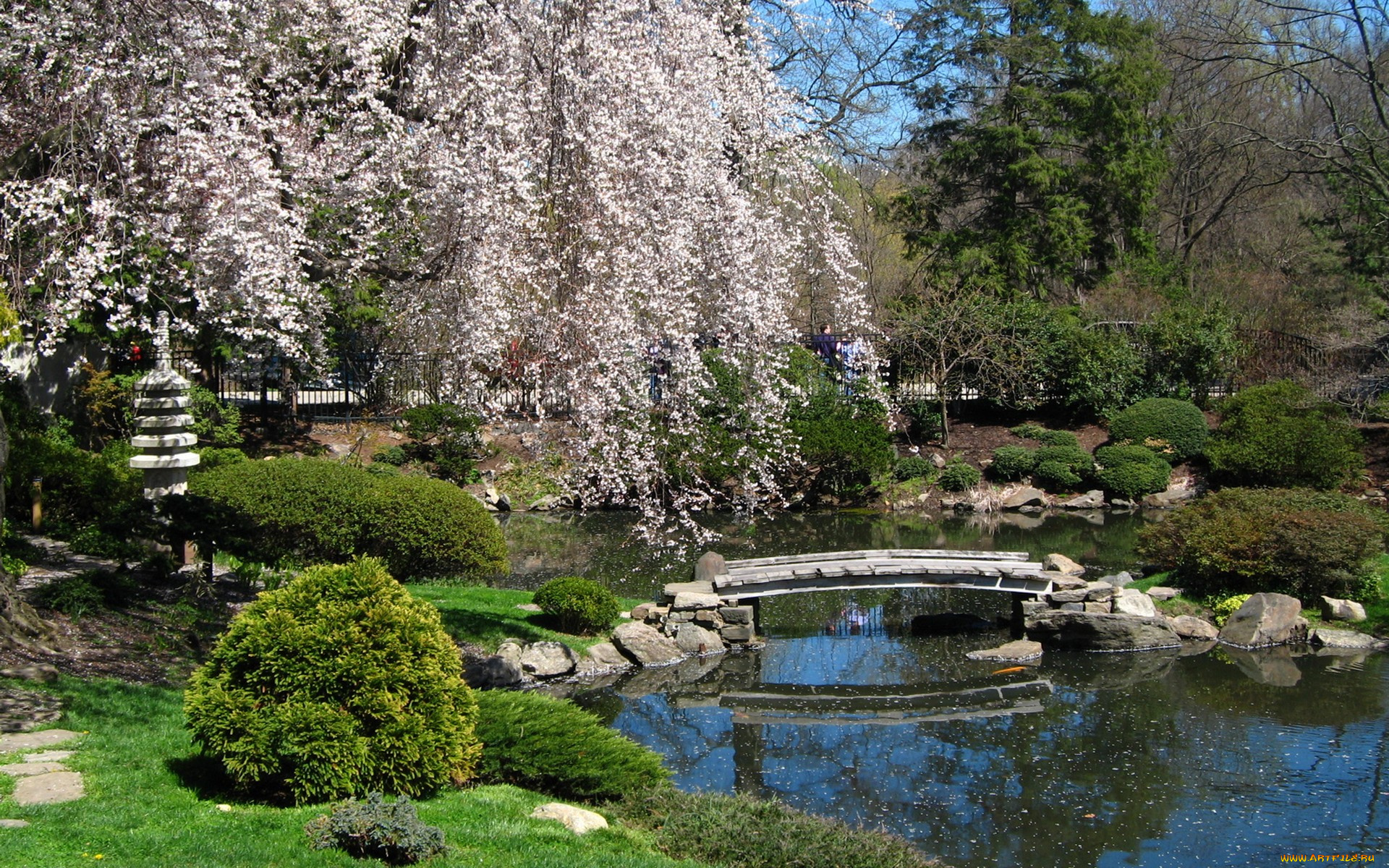 природа, парк