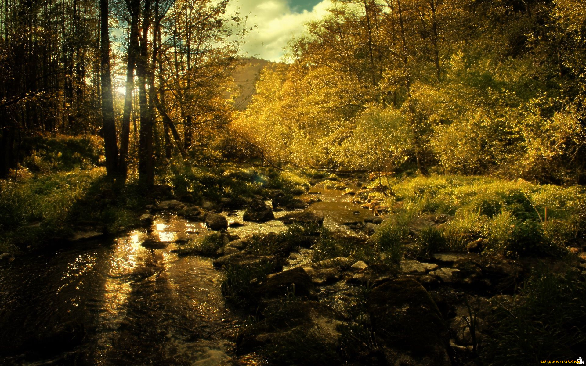 природа, пейзажи