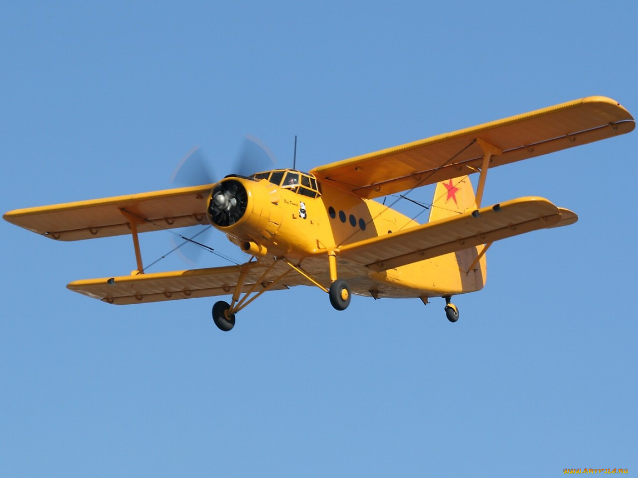 авиация, лёгкие, одномоторные, самолёты