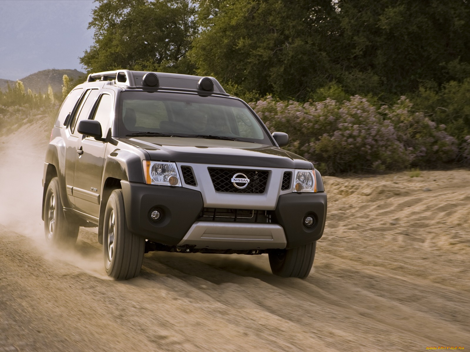 nissan, xterra, 2010, автомобили, datsun
