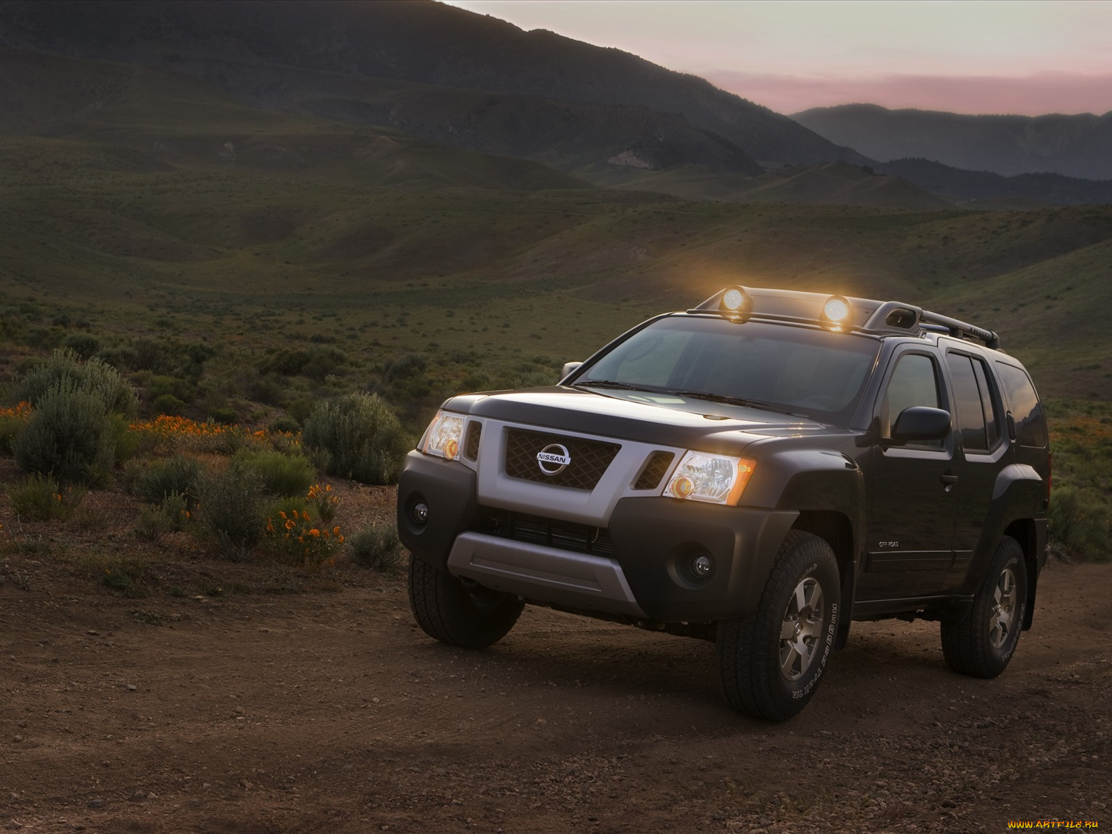 nissan, xterra, 2010, автомобили, datsun