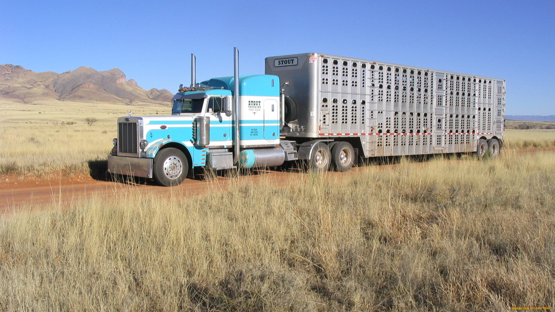 автомобили, peterbilt