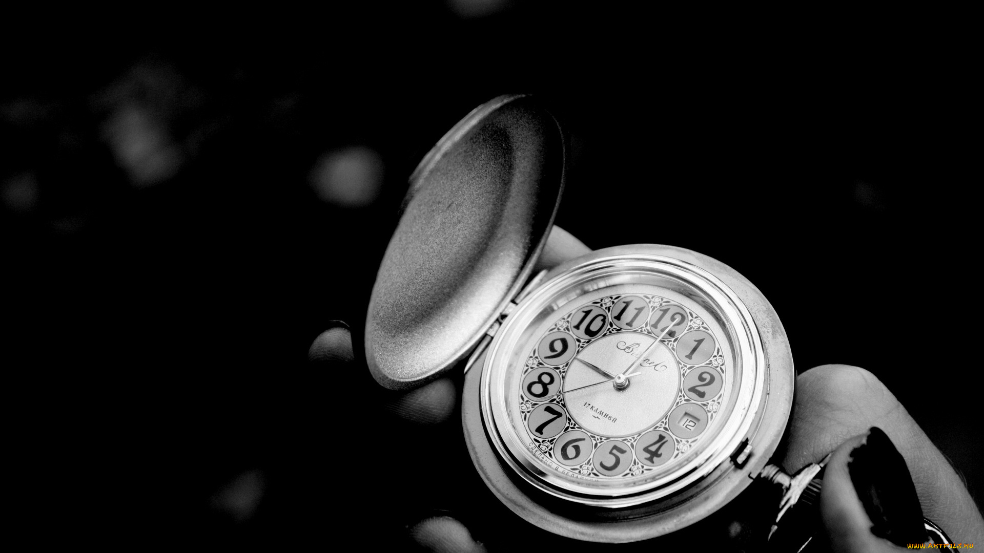 вымпел, бренды