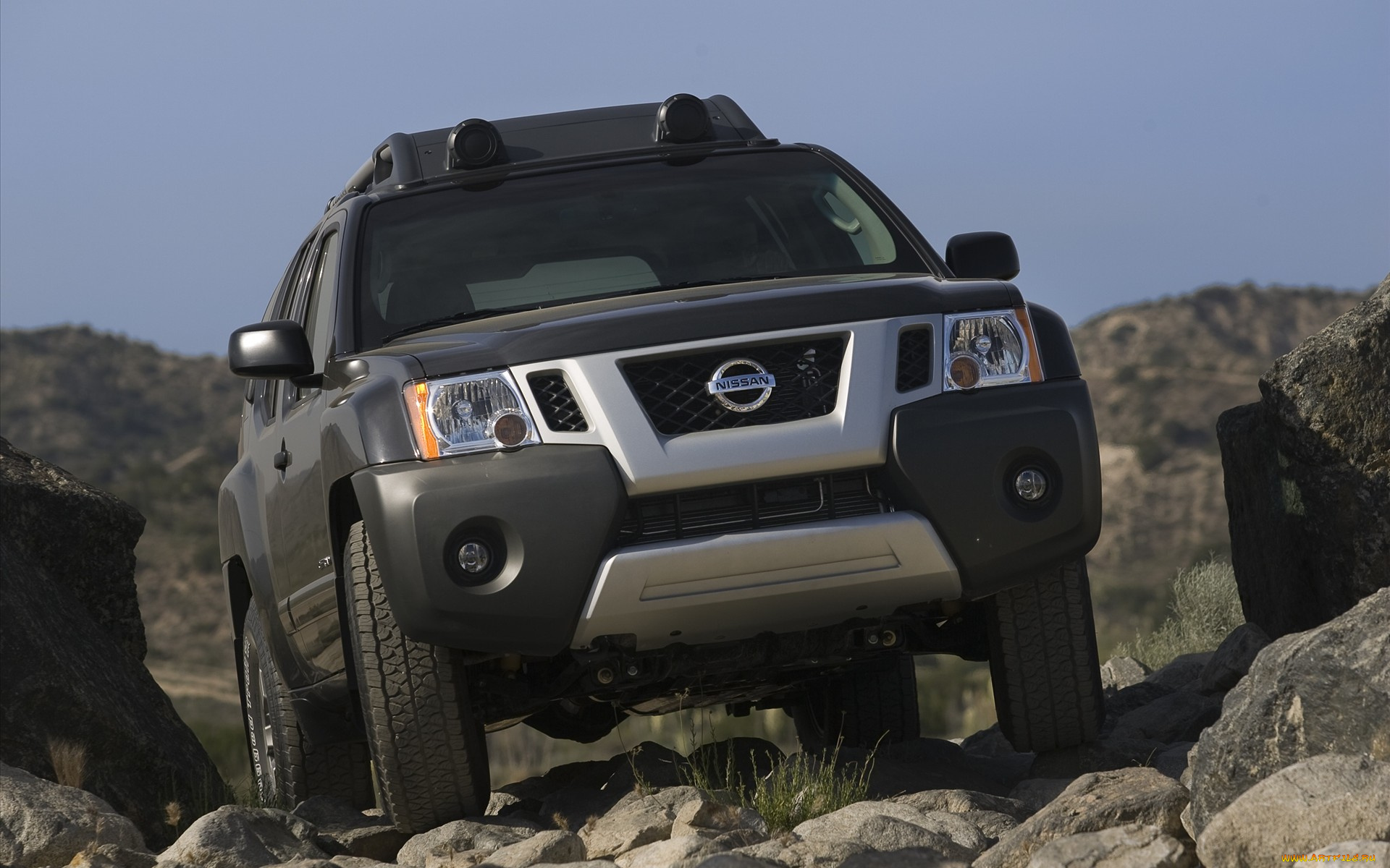 nissan, xterra, 2010, автомобили, datsun