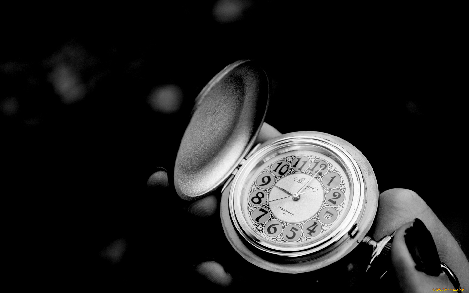 вымпел, бренды