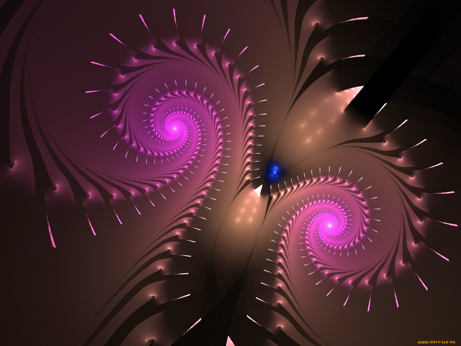 3д, графика, fractal, фракталы, узор, цвета, фон