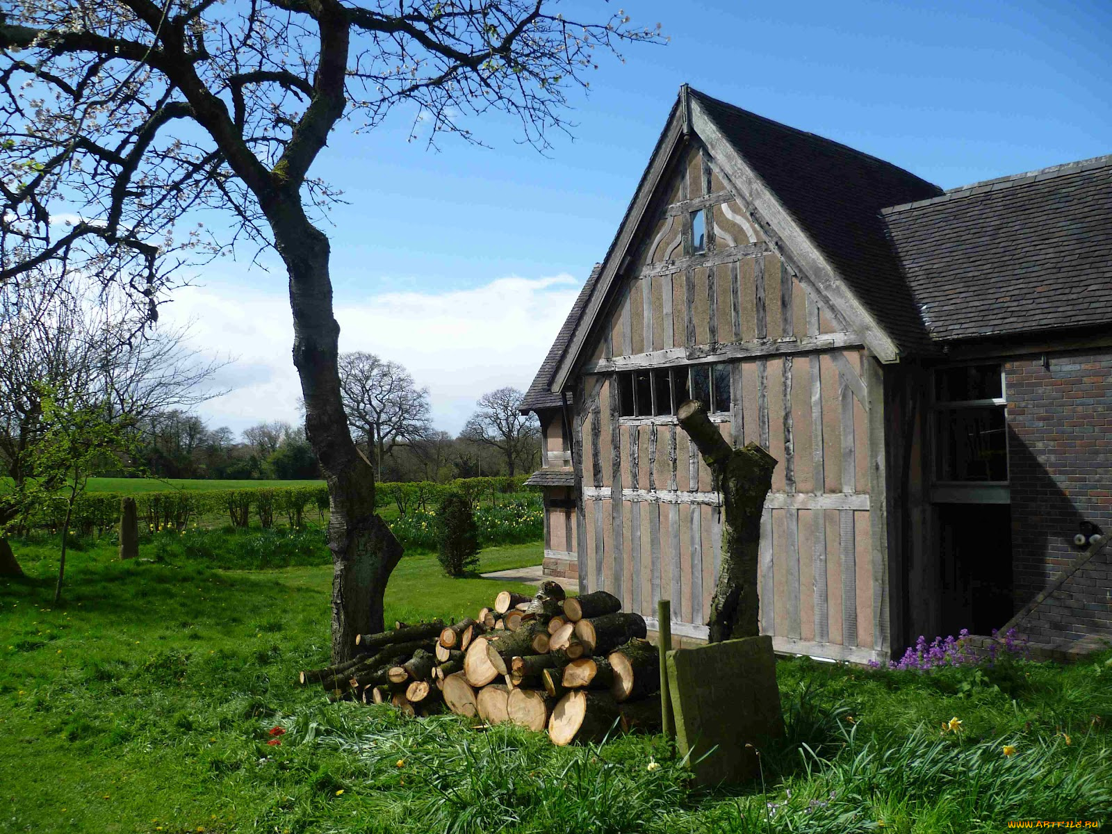 разное, сооружения, постройки, дрова
