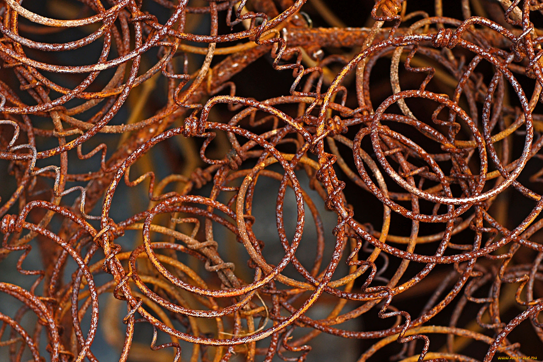 разное, текстуры, кольца, ржавчина, проволока