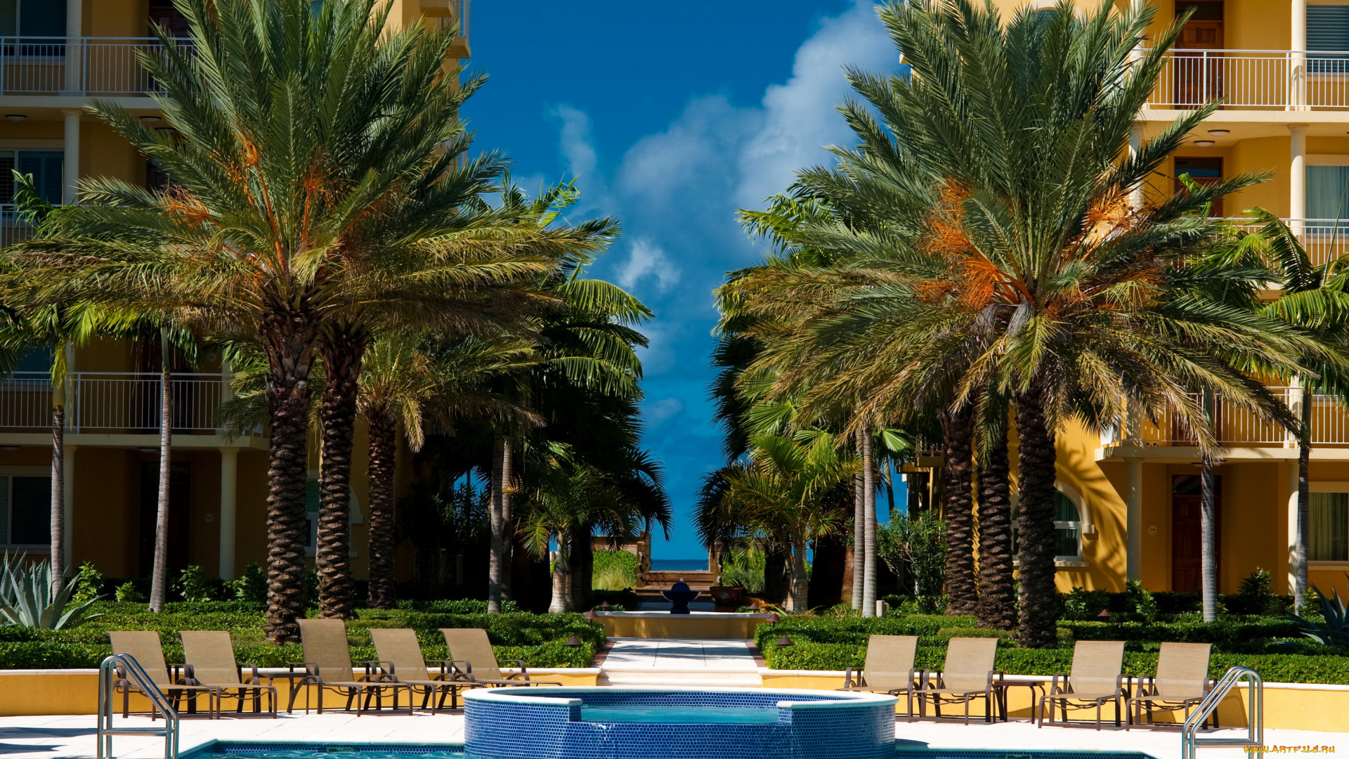 интерьер, бассейны, открытые, площадки, turks, and, caicos, caribbean, beaches