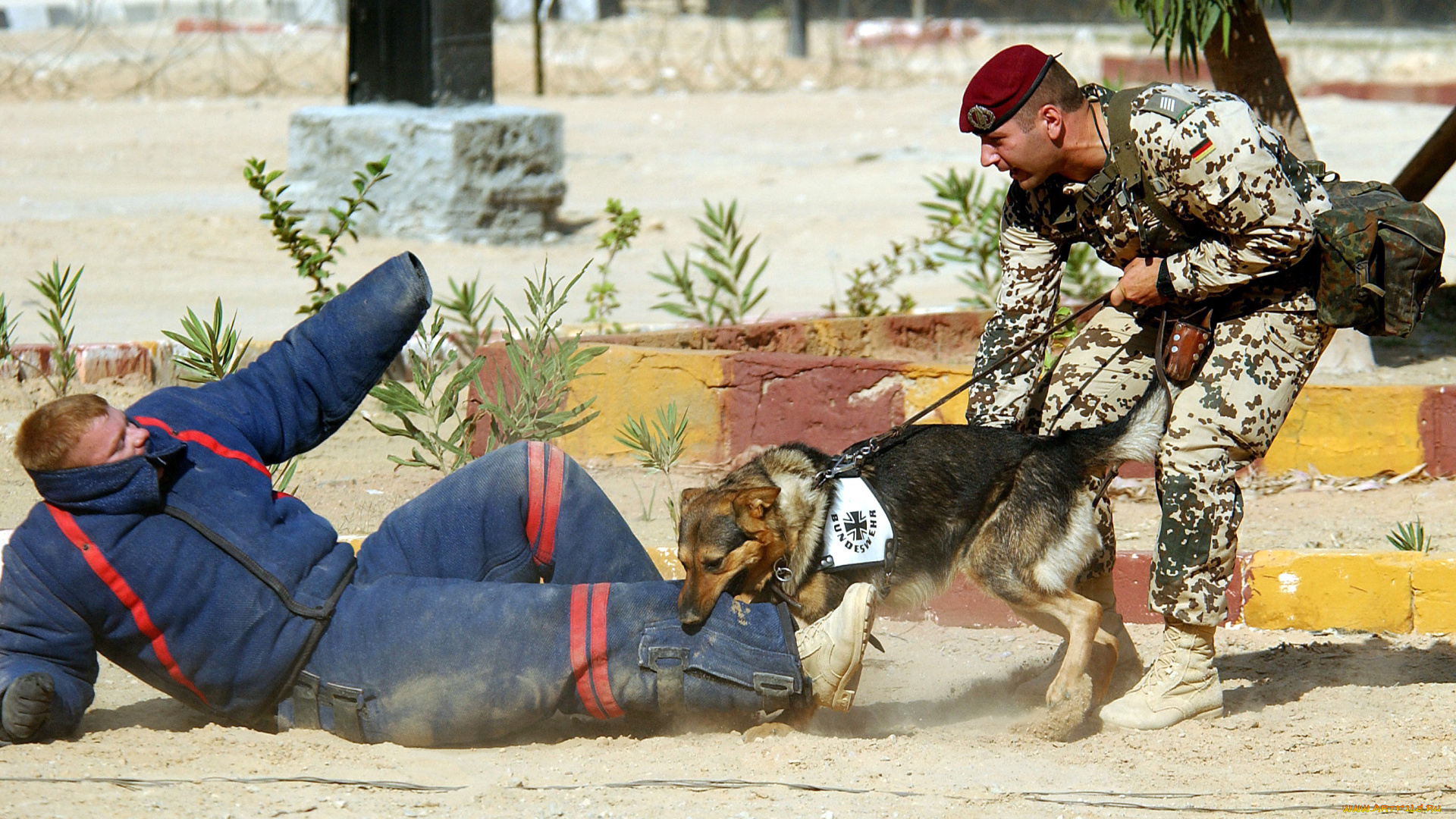 оружие, армия, спецназ, soldiers, army