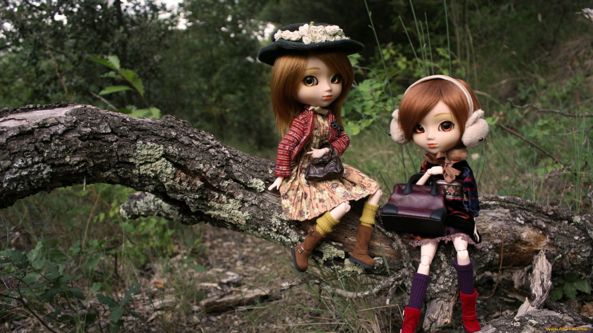 разное, игрушки, модницы, сук, куклы