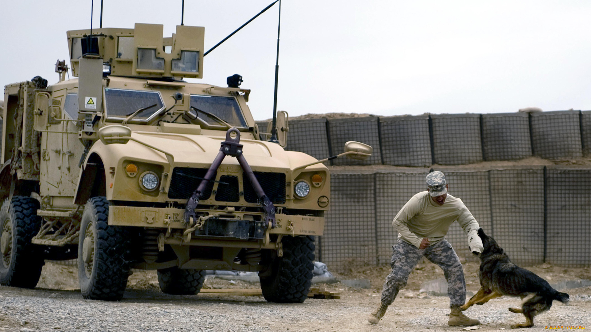 техника, военная