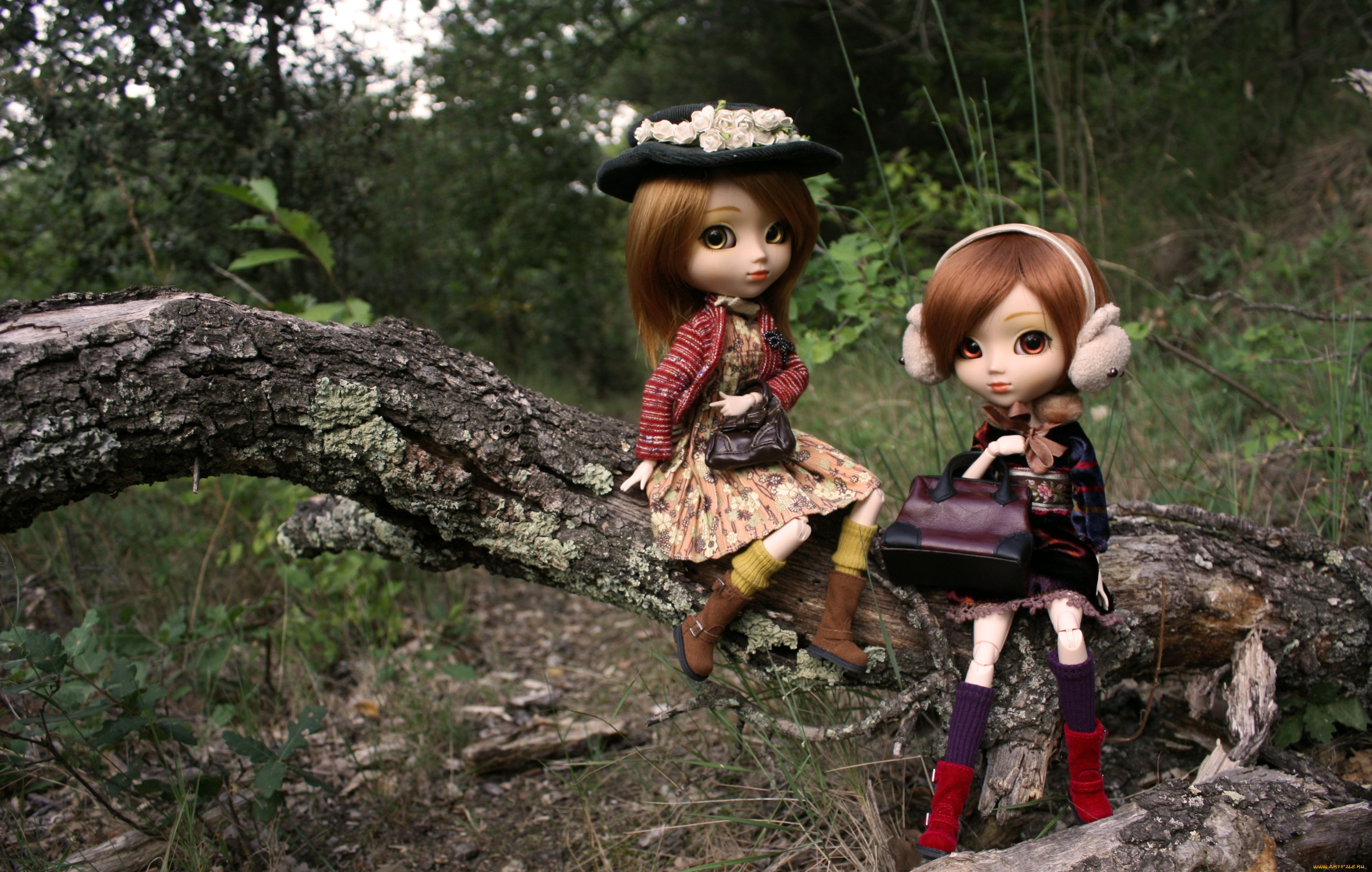 разное, игрушки, модницы, сук, куклы