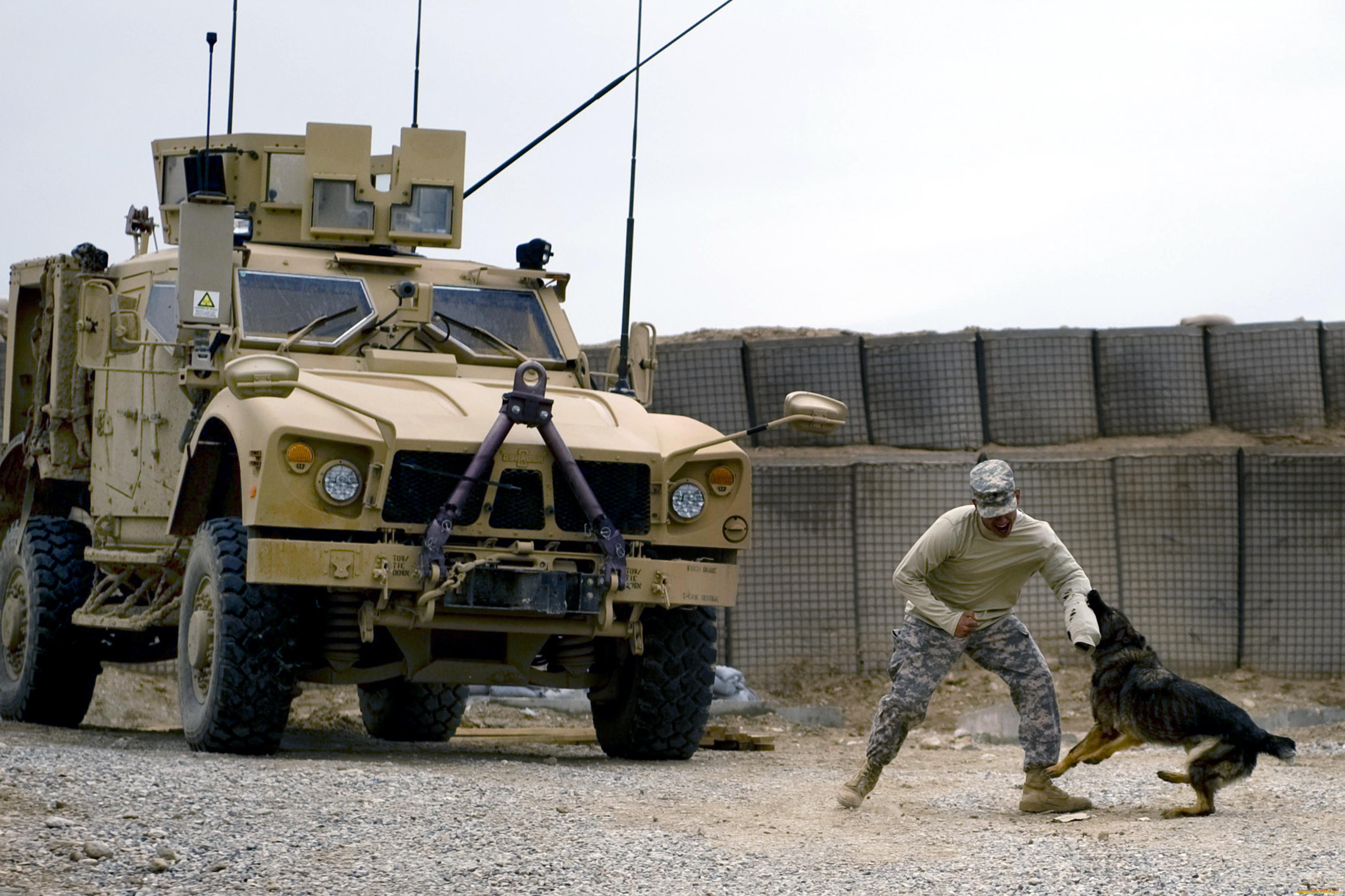 техника, военная