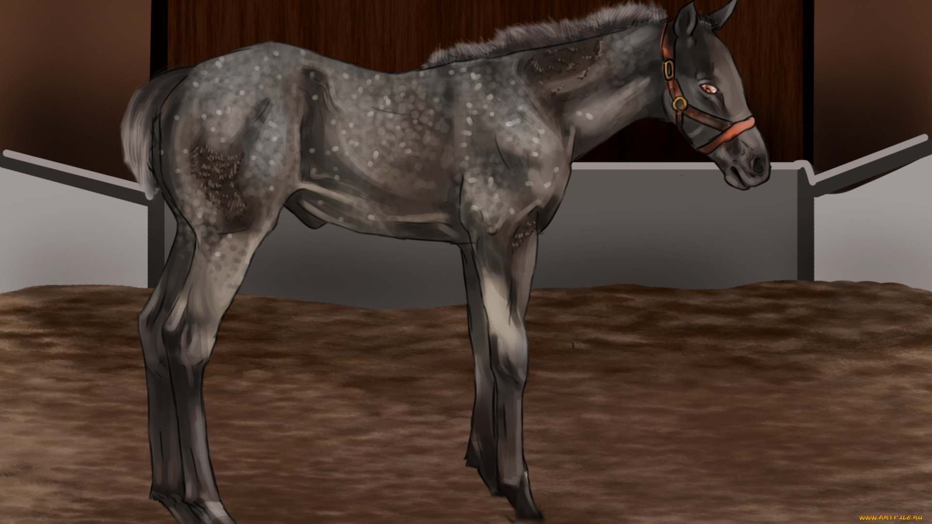 рисованные, животные, лошади, лощадь