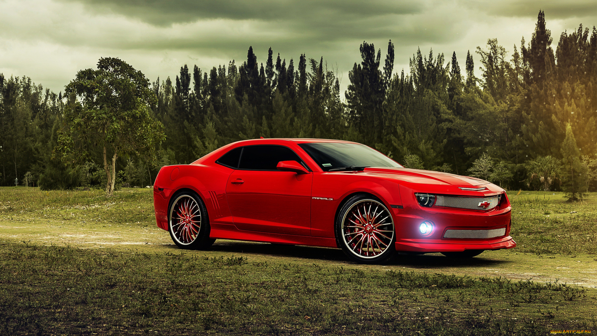 автомобили, camaro