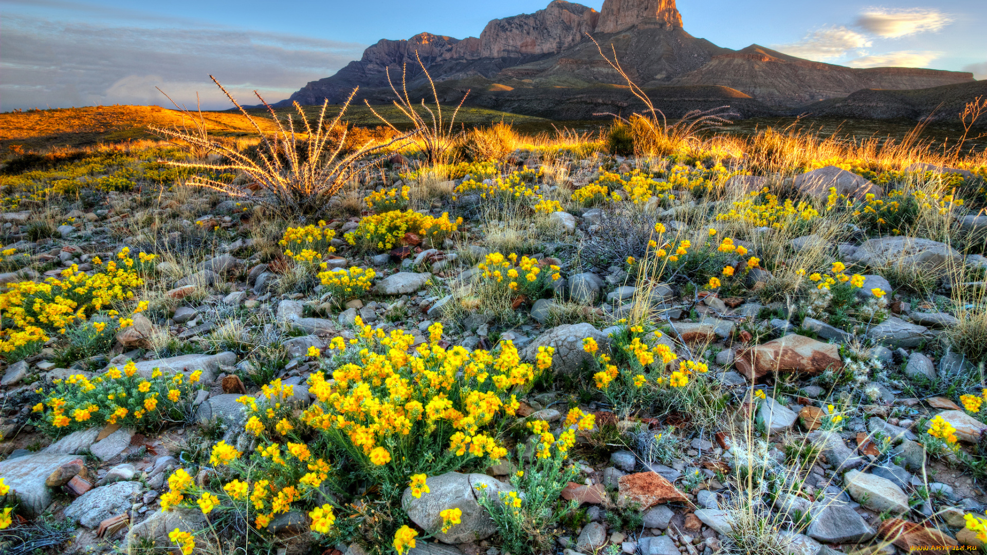 природа, луга, горы, равнина, луг, камни, цветы