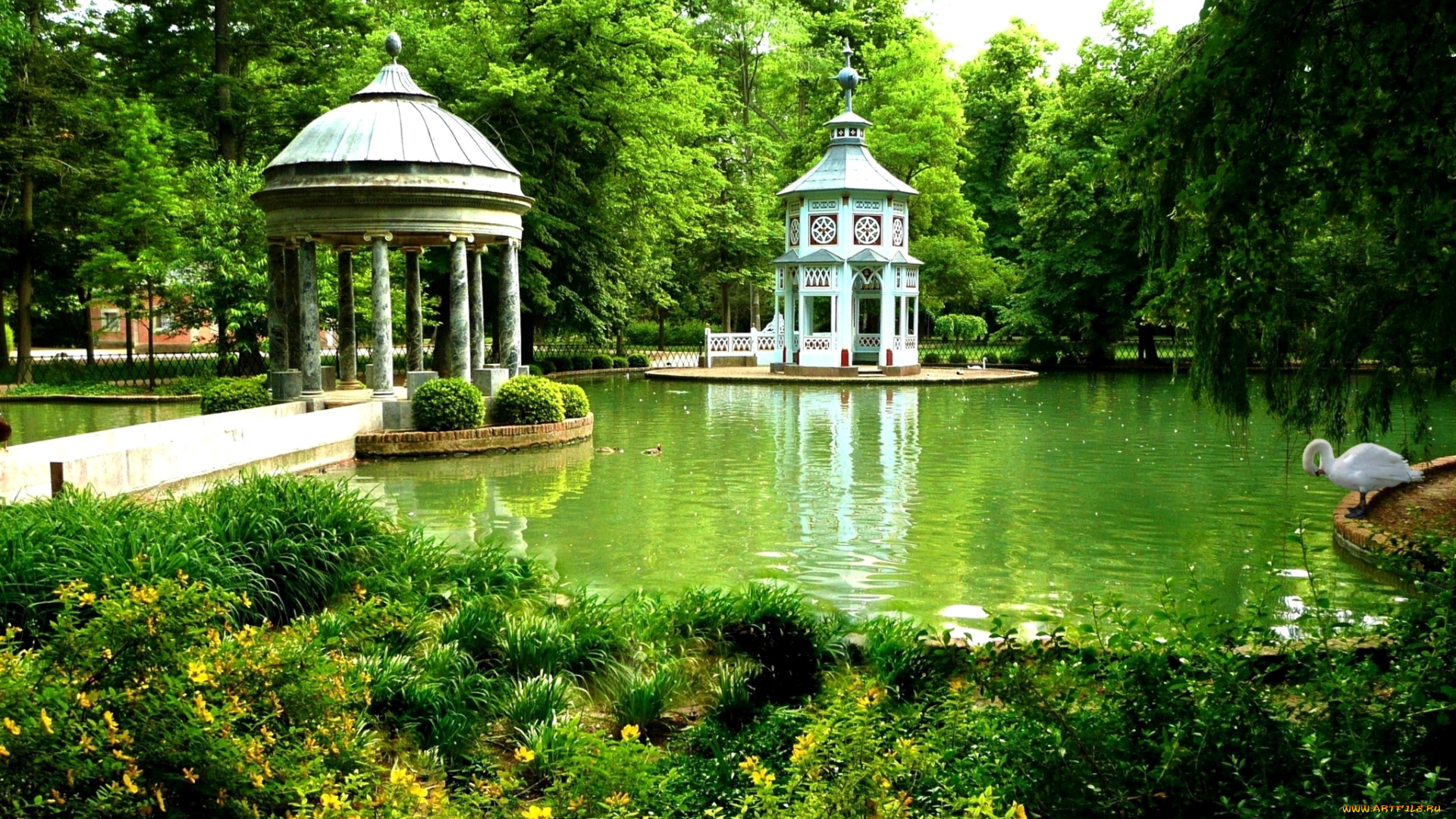 природа, парк, беседка, пруд
