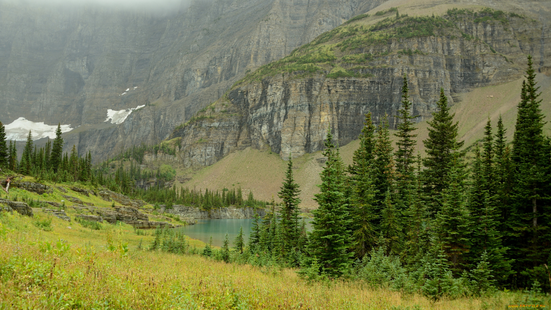 природа, реки, озера, лес, горы, река, туман