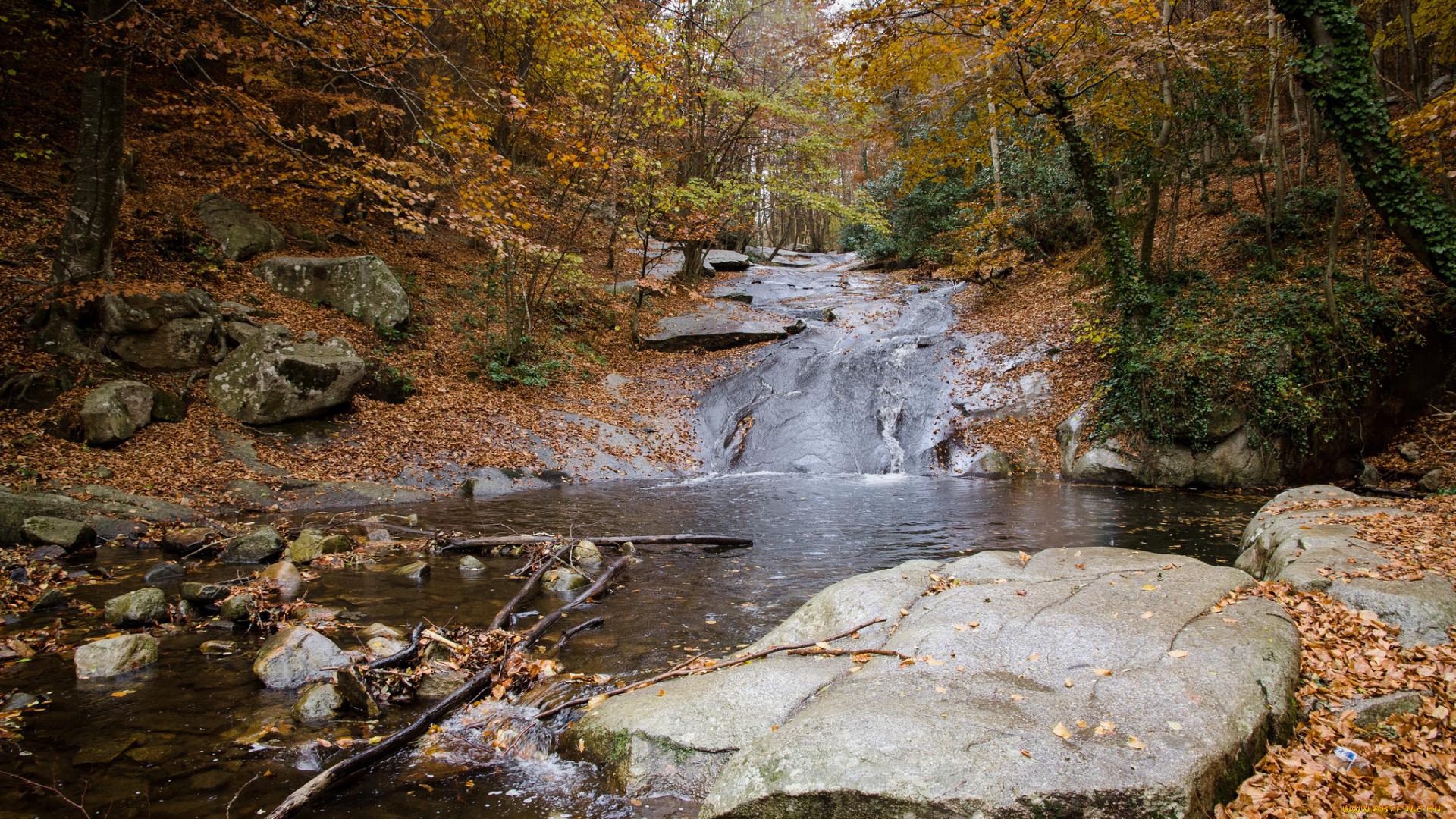природа, реки, озера, листва, камни, ручей, лес, осень