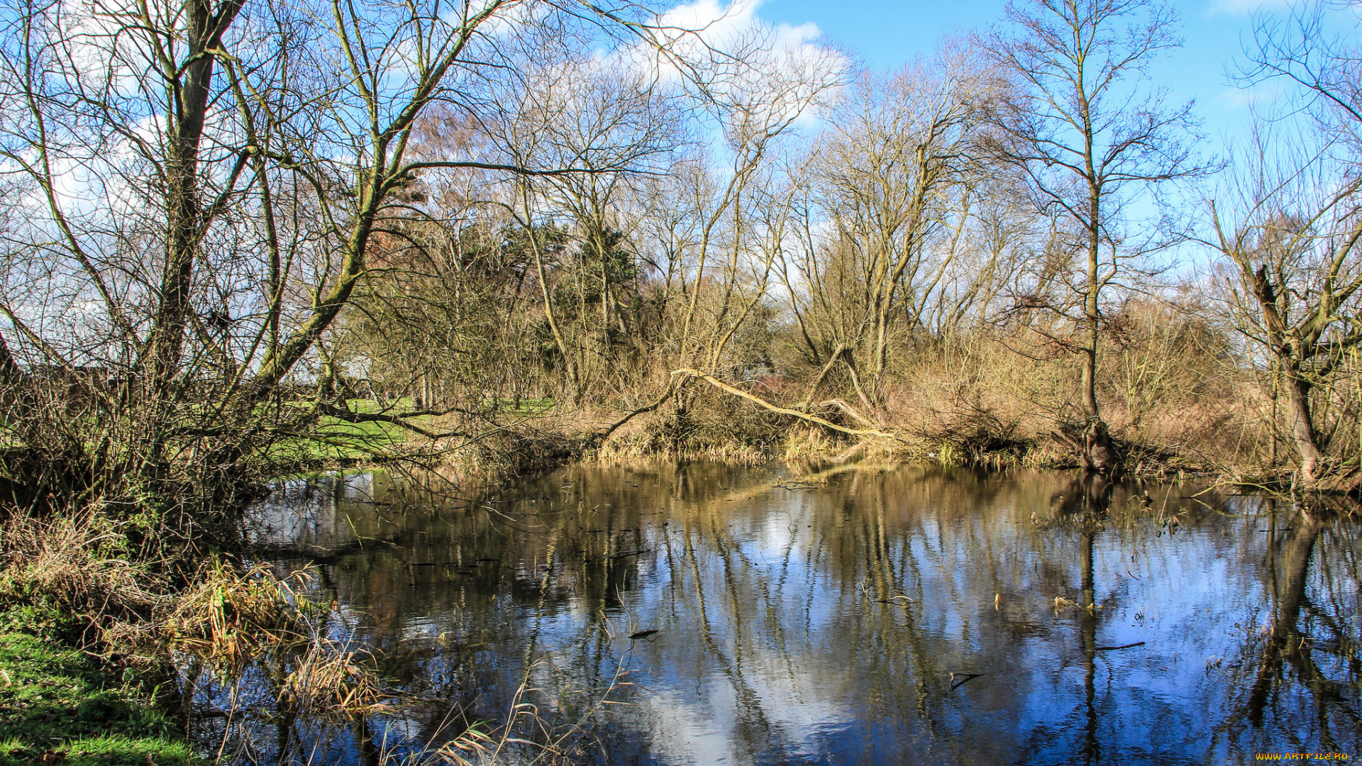 природа, реки, озера, озеро, лес