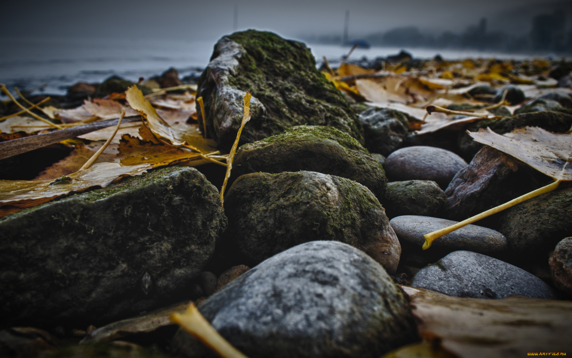 природа, листья, желтые, осень, мох, булыжники, камни