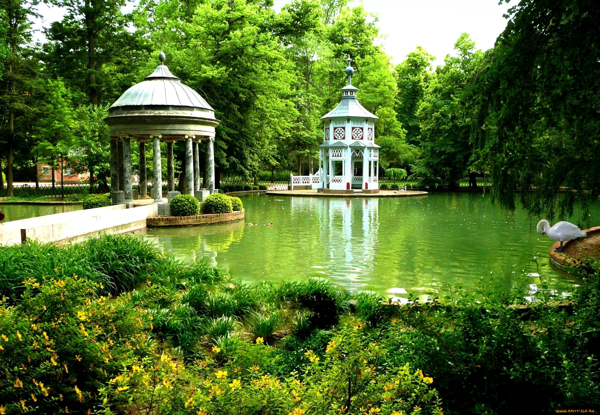 природа, парк, беседка, пруд