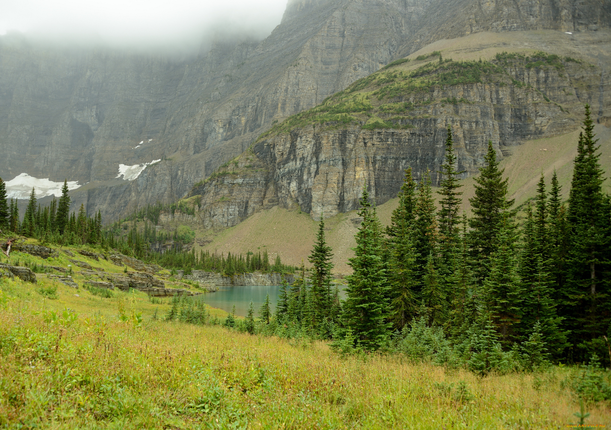 природа, реки, озера, лес, горы, река, туман