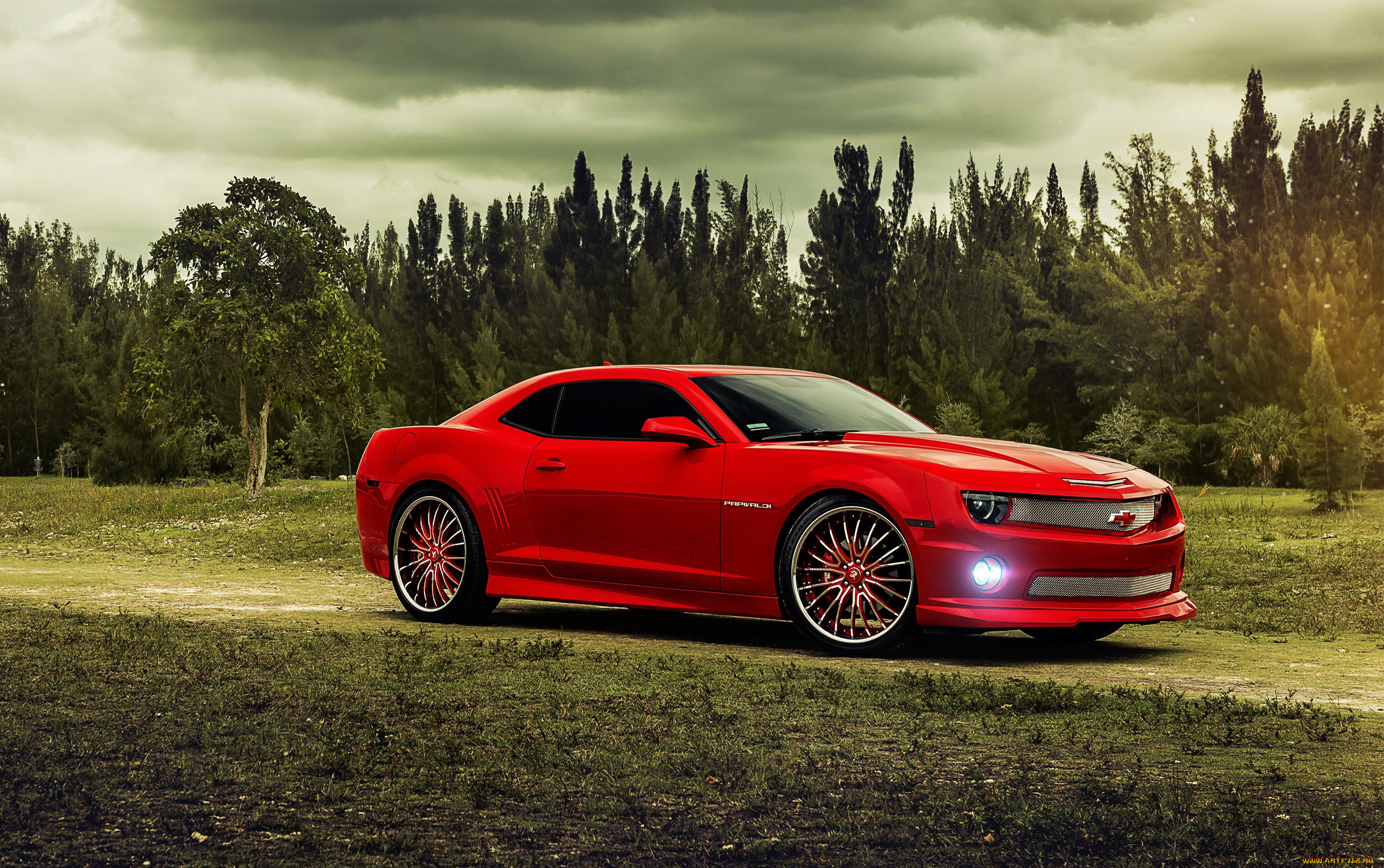 автомобили, camaro