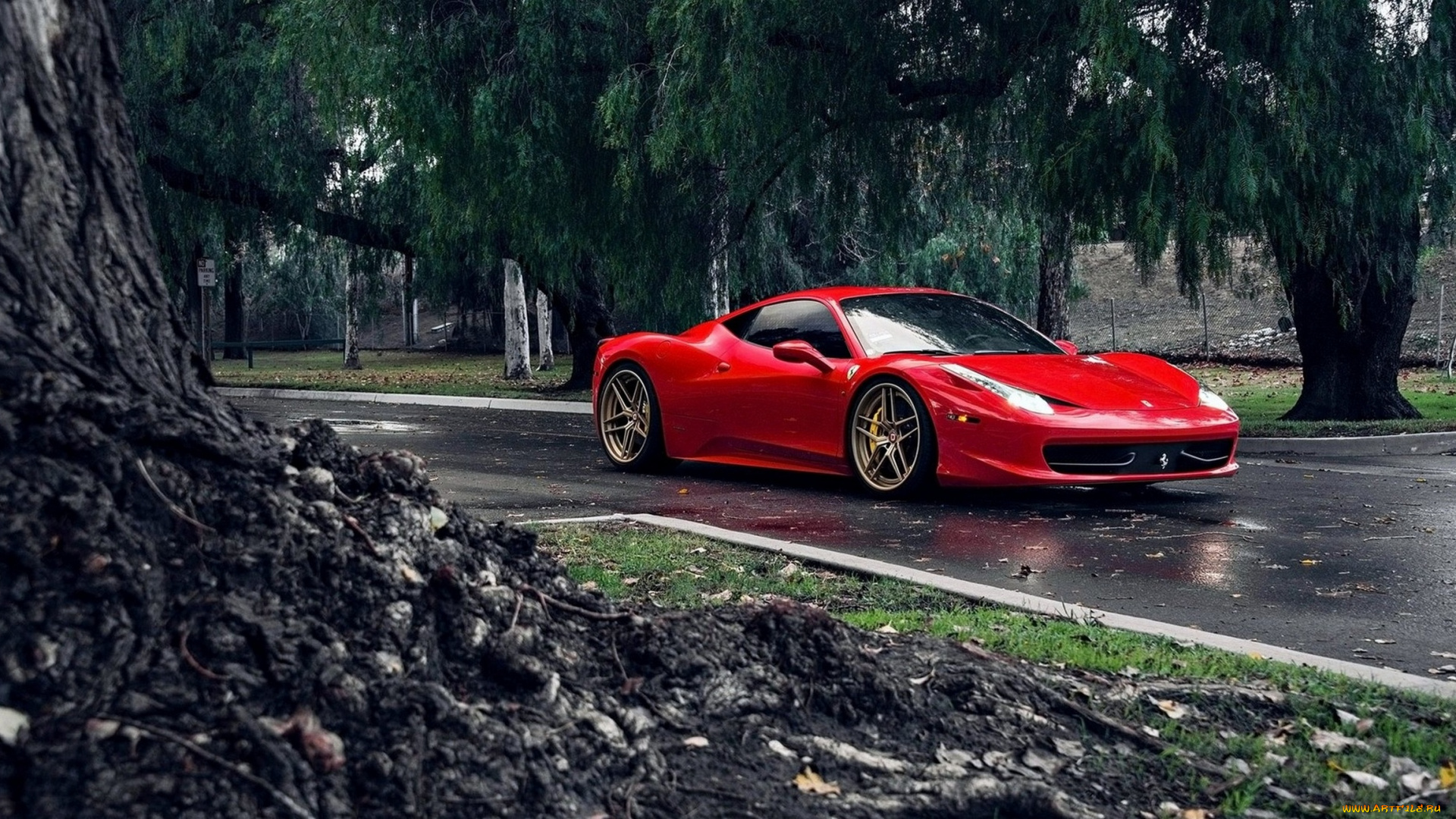 автомобили, ferrari, лес, дорога, красный, феррари
