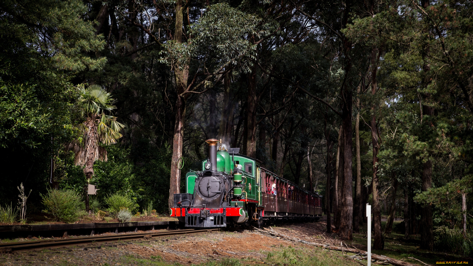 техника, паровозы, дорога, железная, паровоз, рельсы