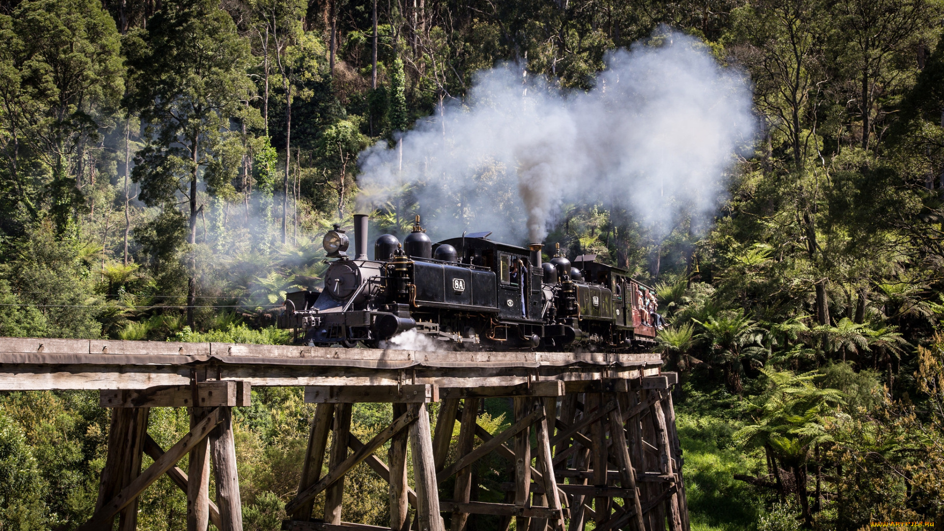 техника, паровозы, дорога, железная, рельсы, паровоз
