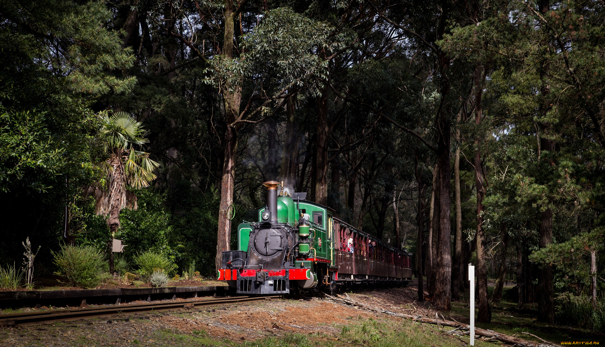 техника, паровозы, дорога, железная, паровоз, рельсы