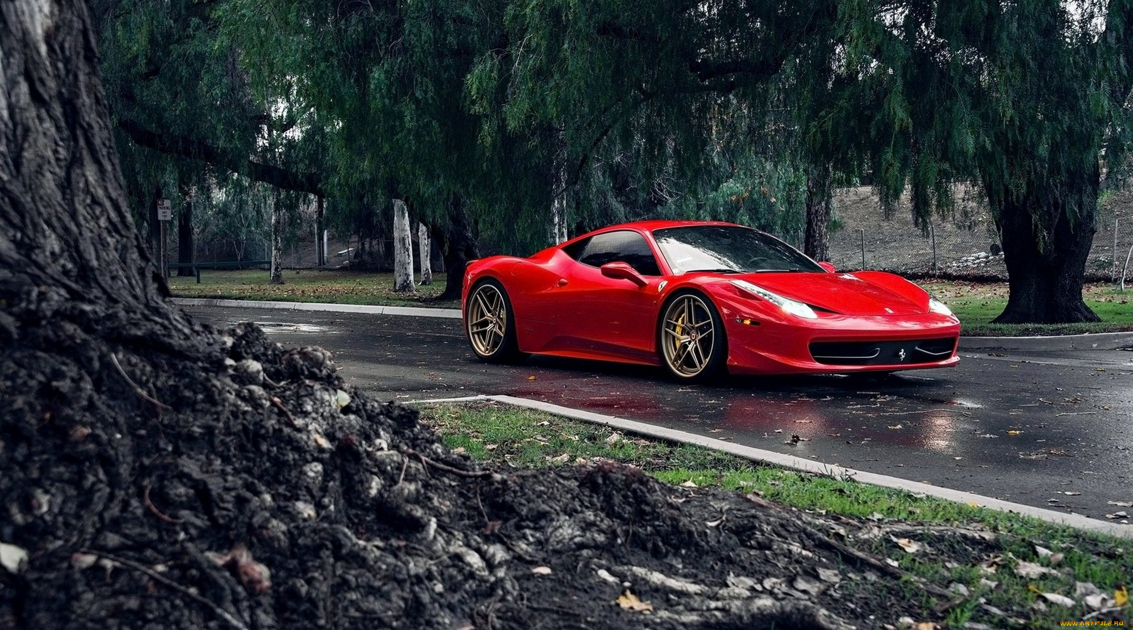 автомобили, ferrari, лес, дорога, красный, феррари