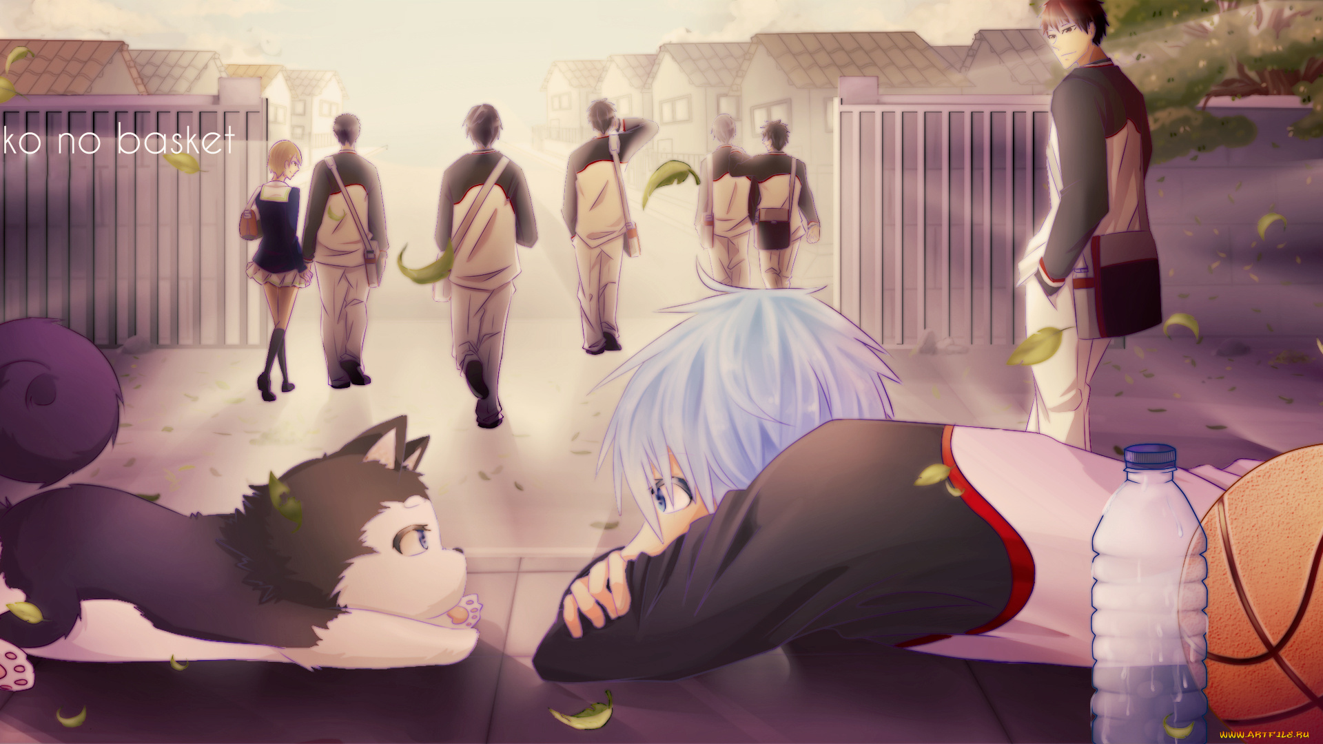 аниме, kuroko, no, baske, баскетбол, парни, щенок