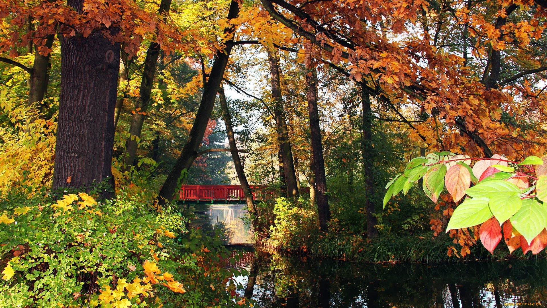 природа, парк, водоем, мостик, деревья, осень