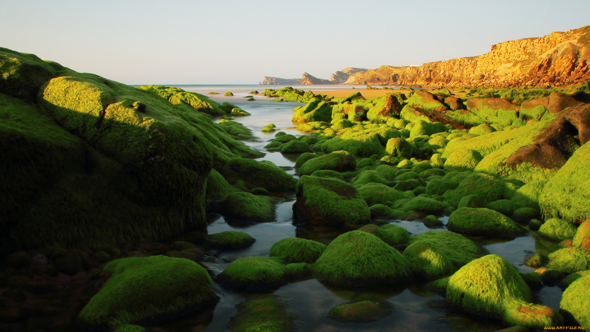природа, побережье, водоросли, камни, скалы, море, небо
