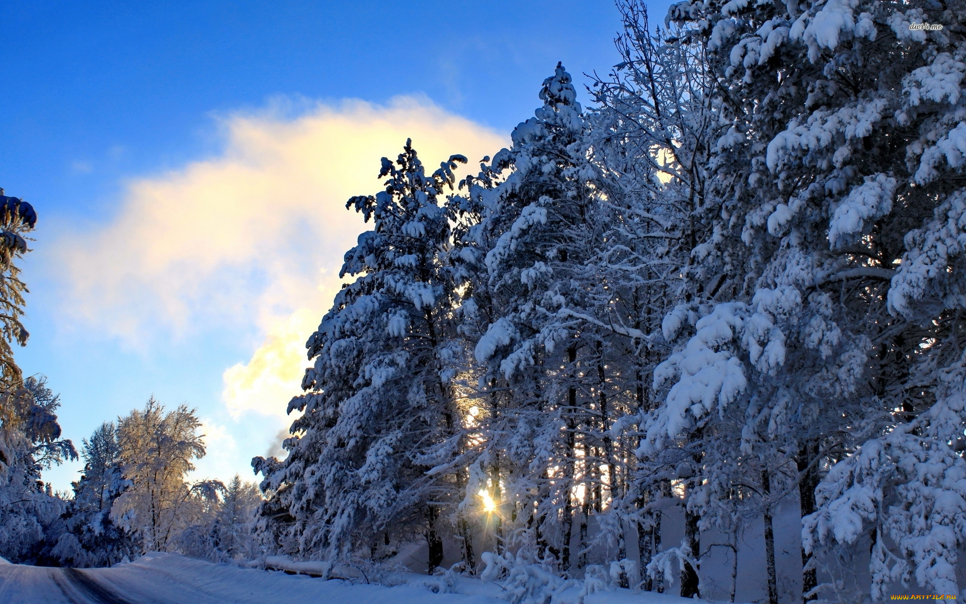 природа, зима, снег, деревья