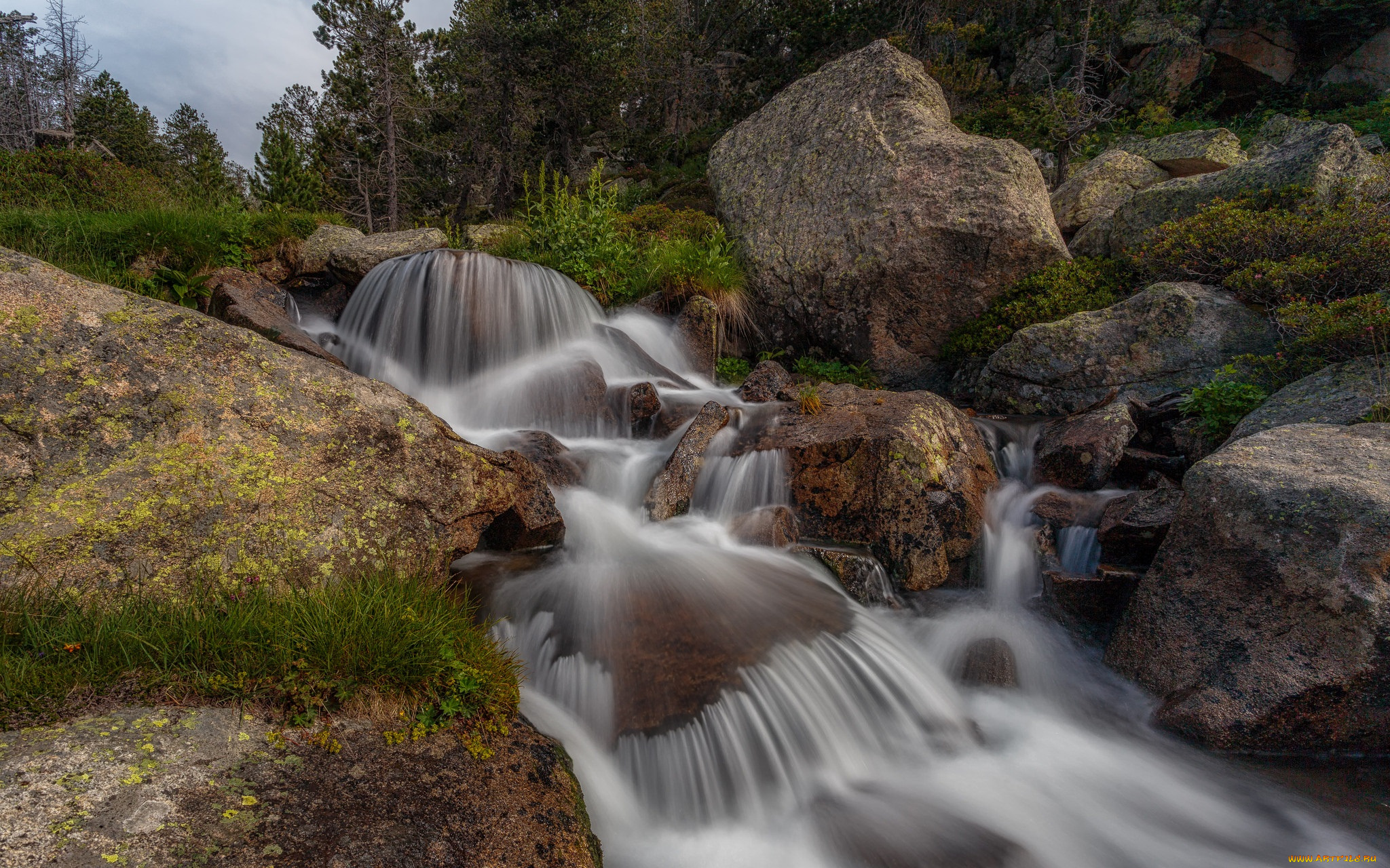 природа, реки, озера, лес, река