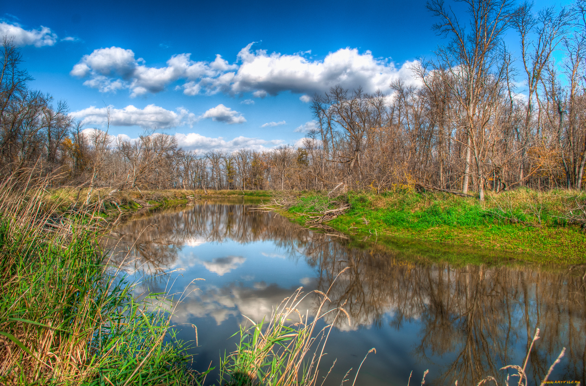 природа, реки, озера, река, лес