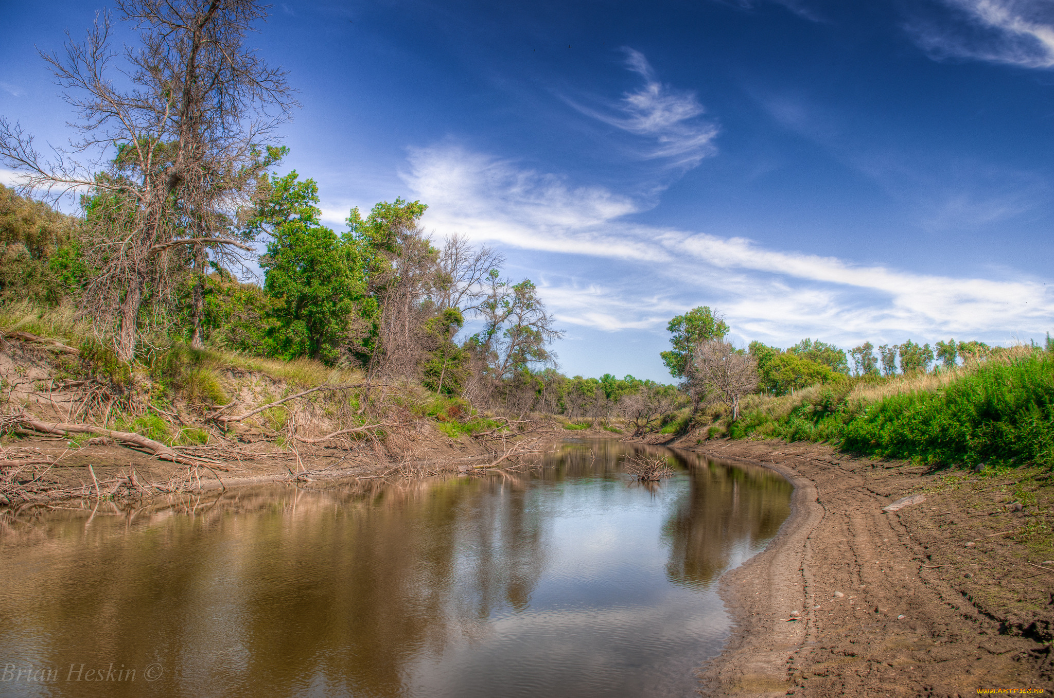 природа, реки, озера, река, лес