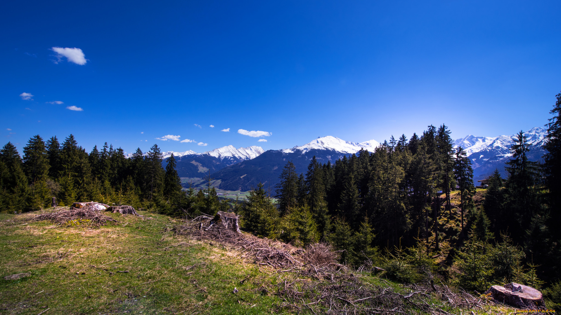 природа, пейзажи, простор