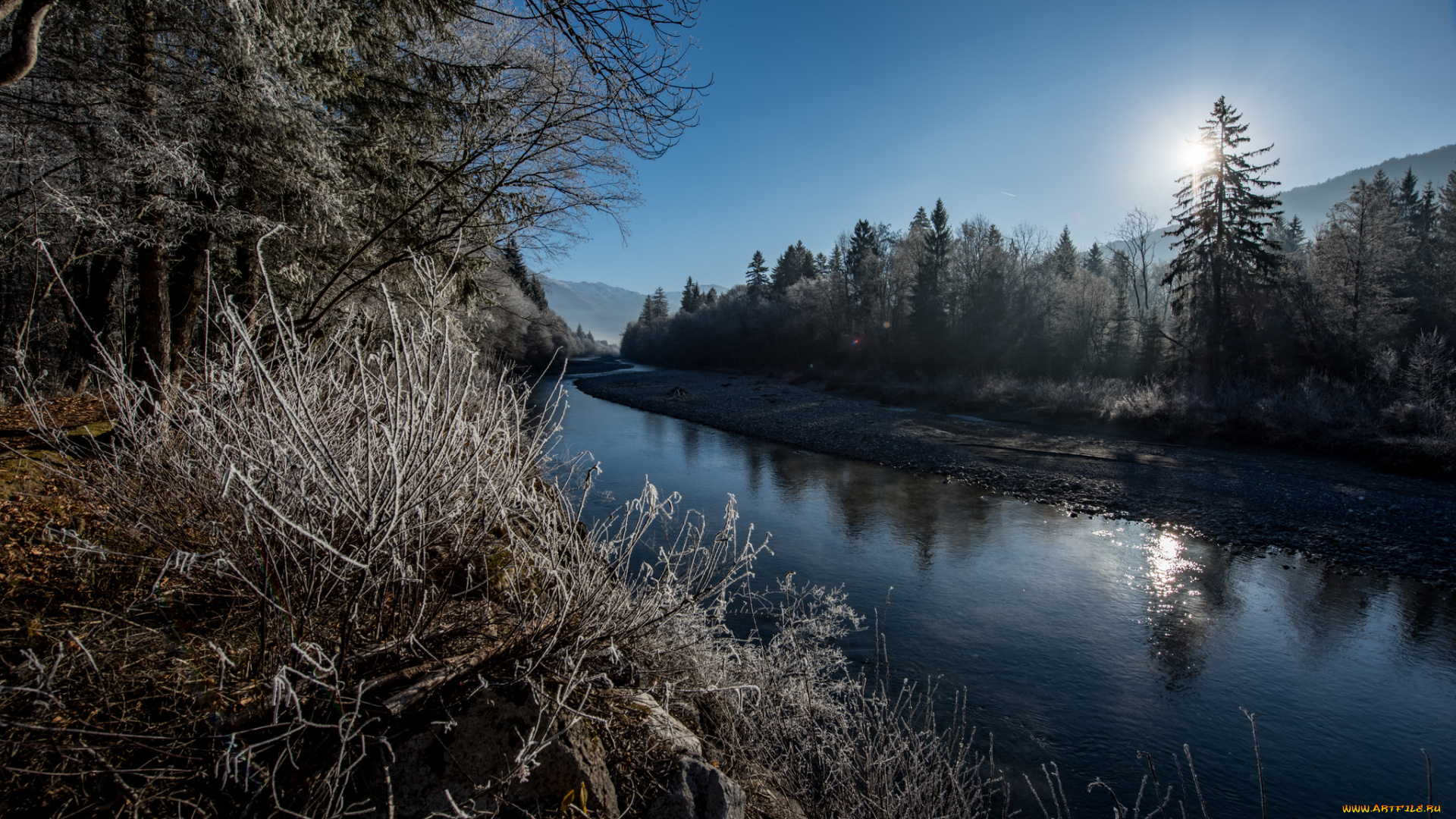 природа, реки, озера, река, лес