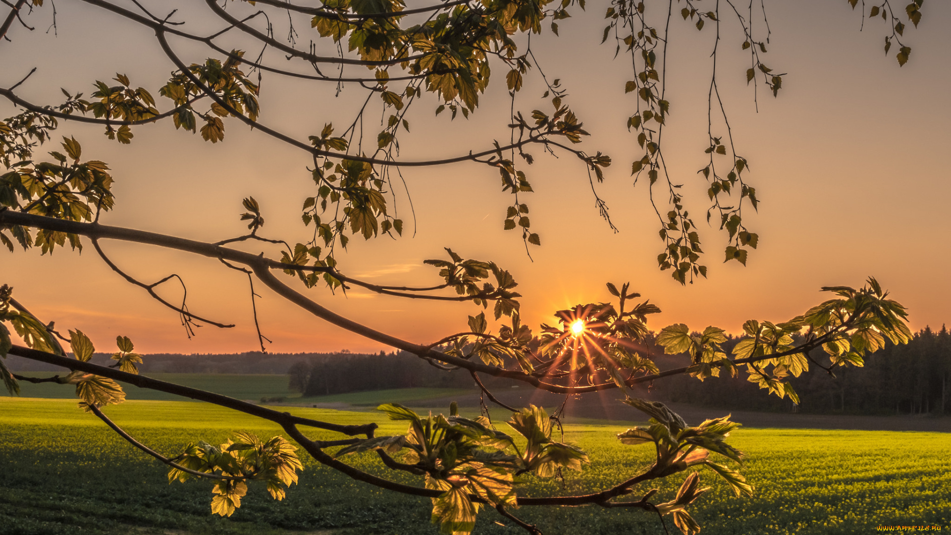 природа, восходы, закаты, рассвет