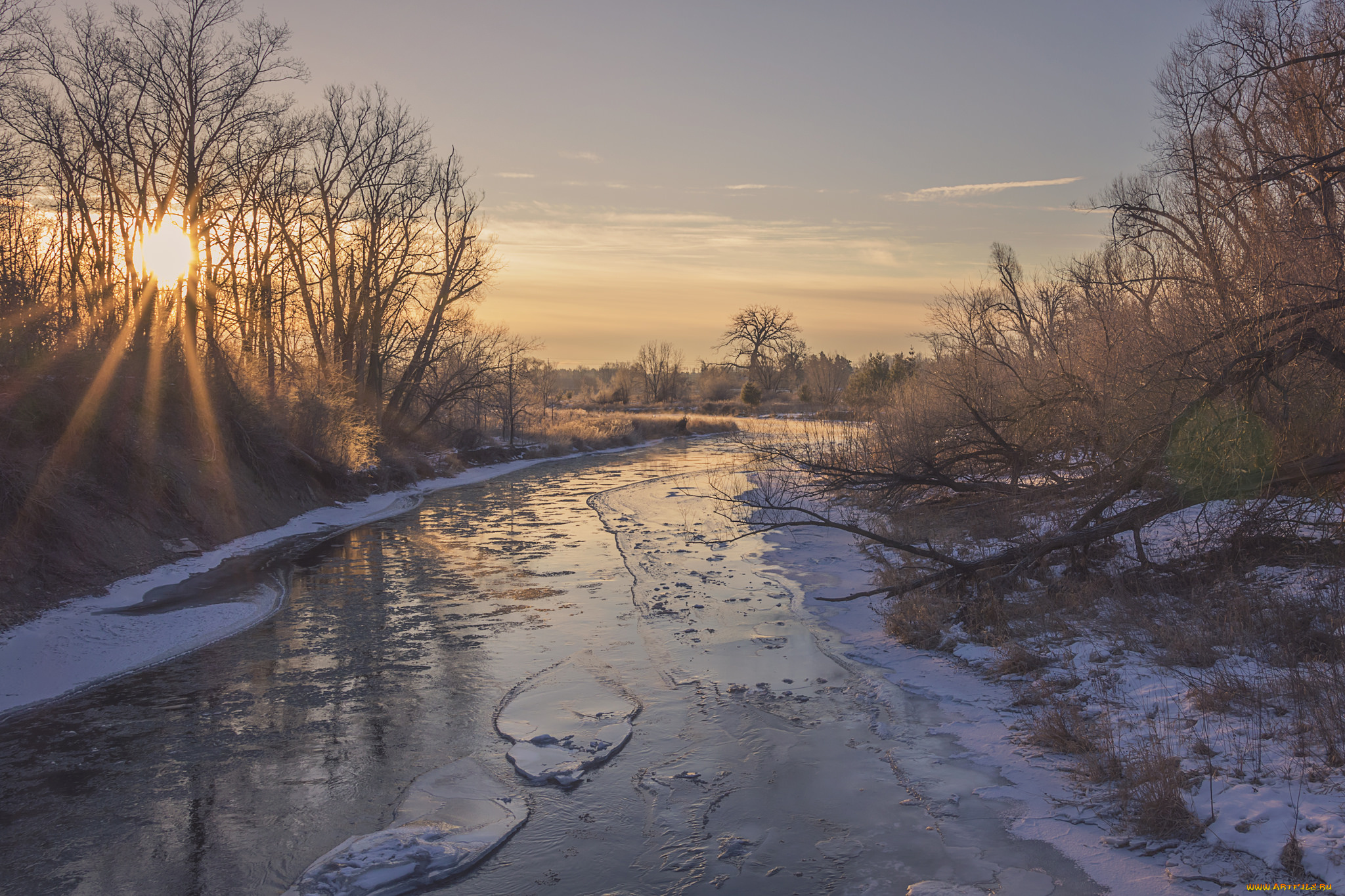 природа, реки, озера, река, лес